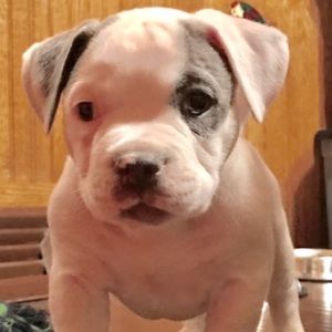 Meet your Posher, Celina